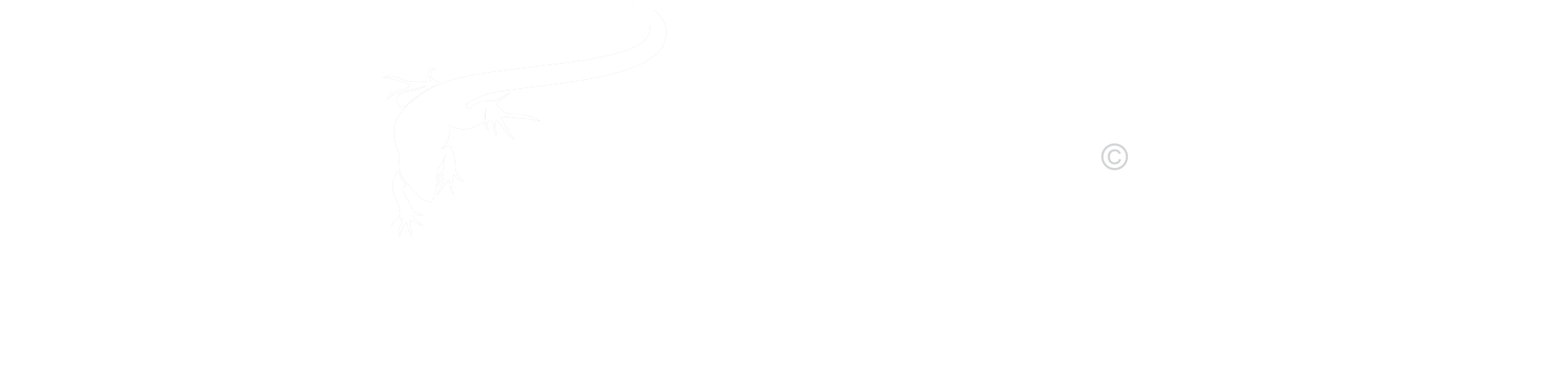 Litawr